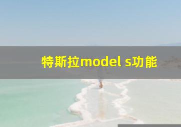 特斯拉model s功能